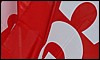 DSC_0981.jpg