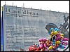DSC_1106.jpg