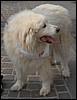 DSC_1107.jpg